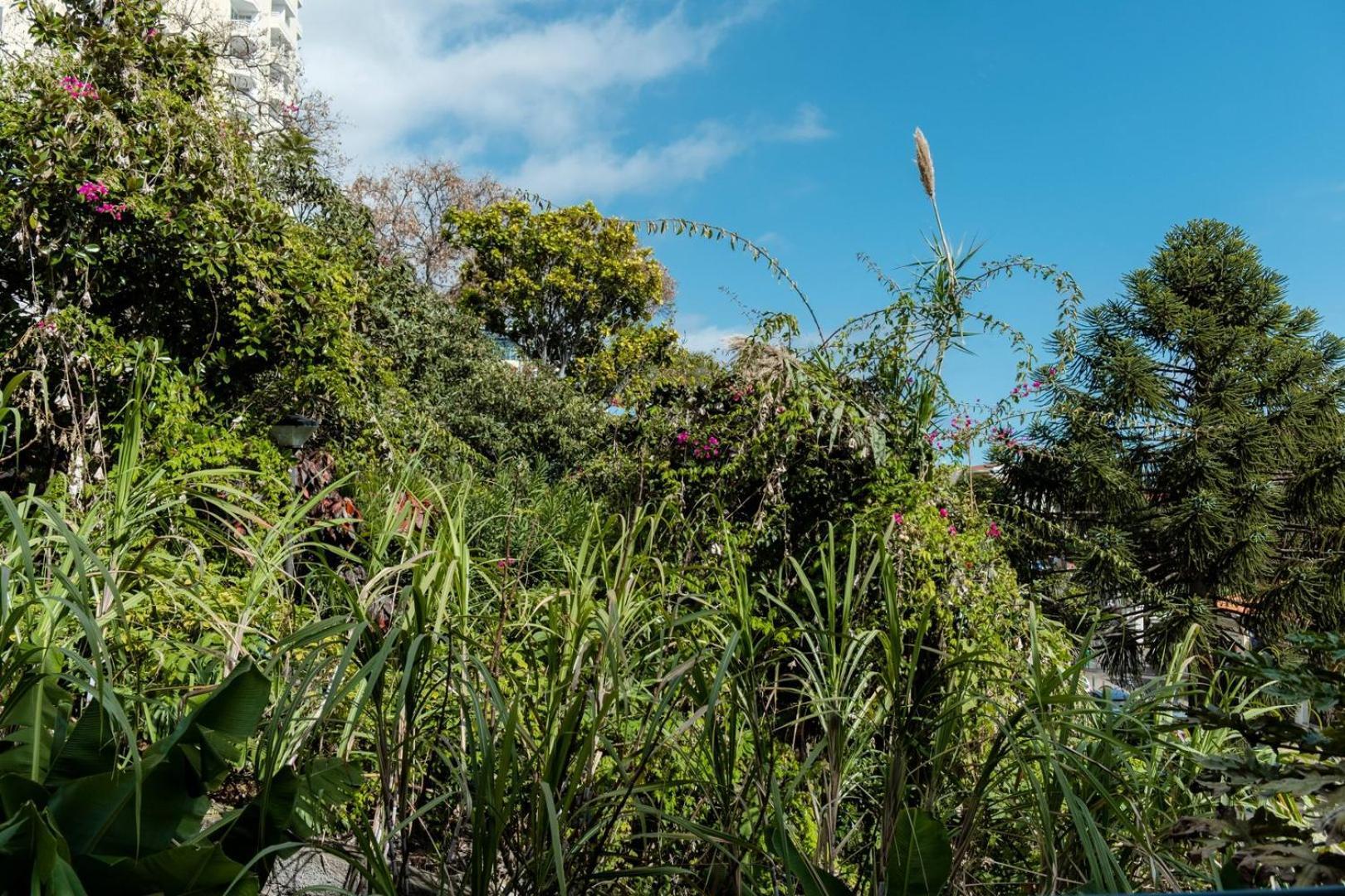丰沙尔Guestready - Lido View Near The Beach公寓 外观 照片